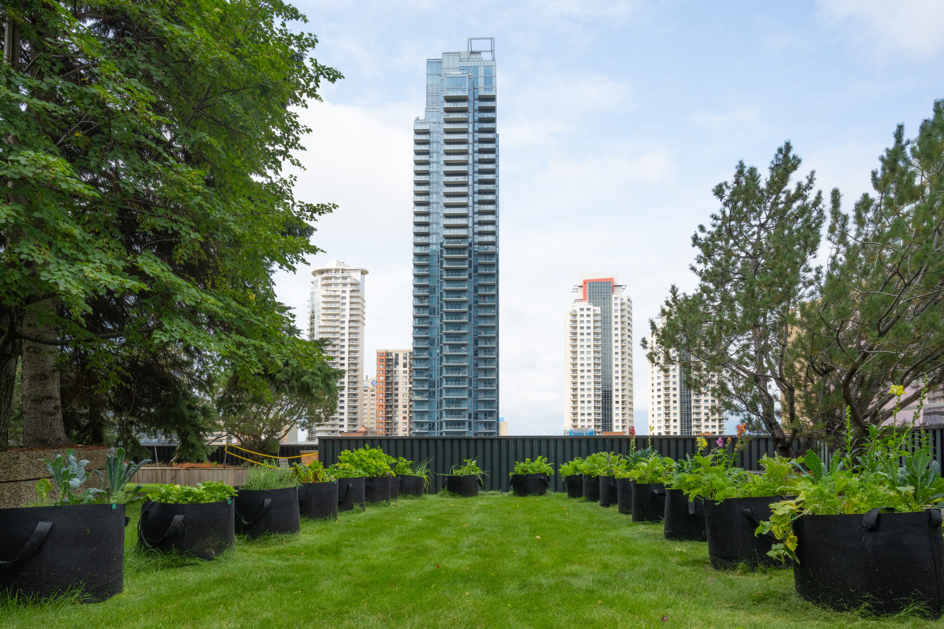 Urban farming in the hills