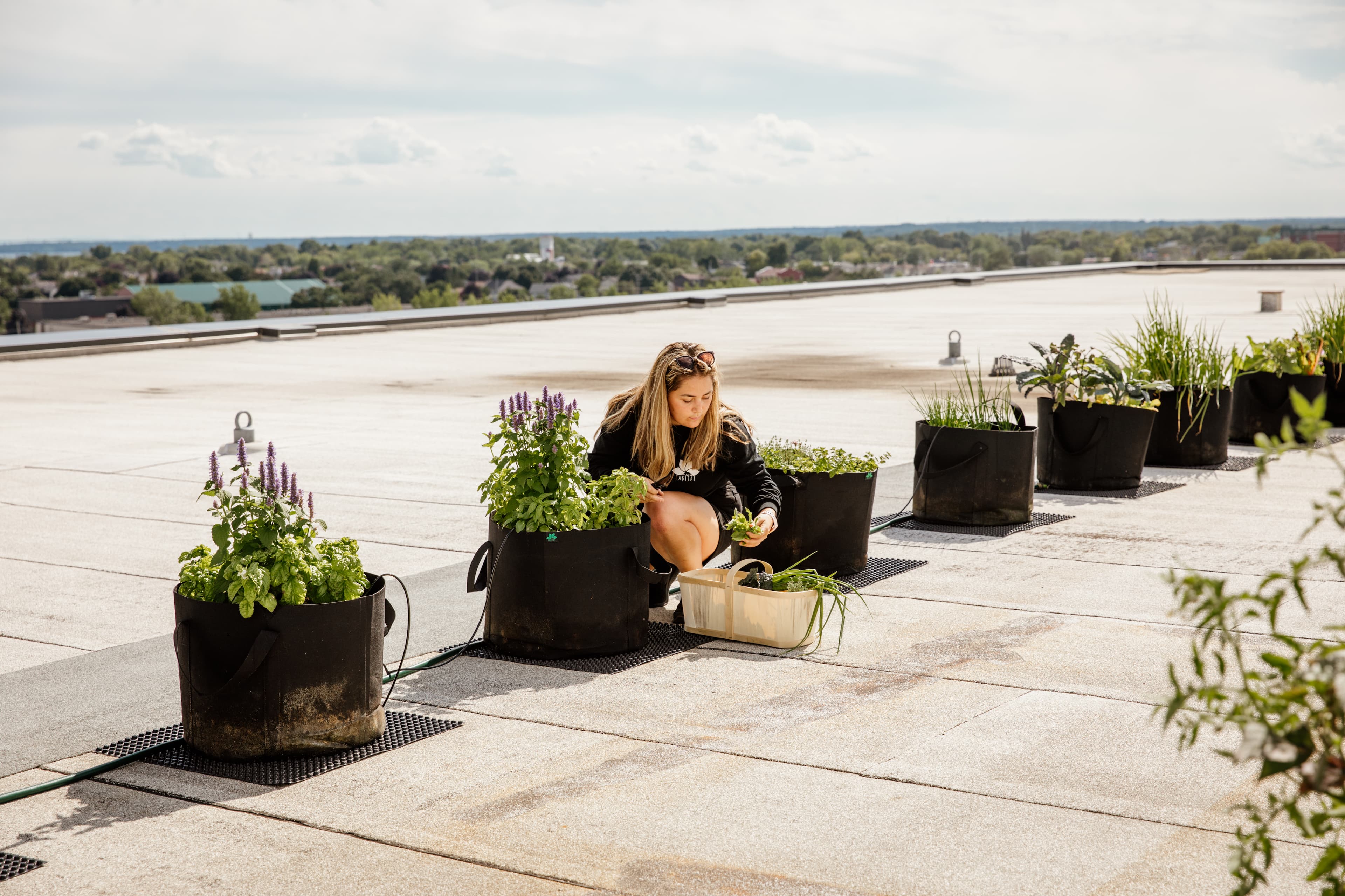 Ateliers sur l'agriculture urbaine