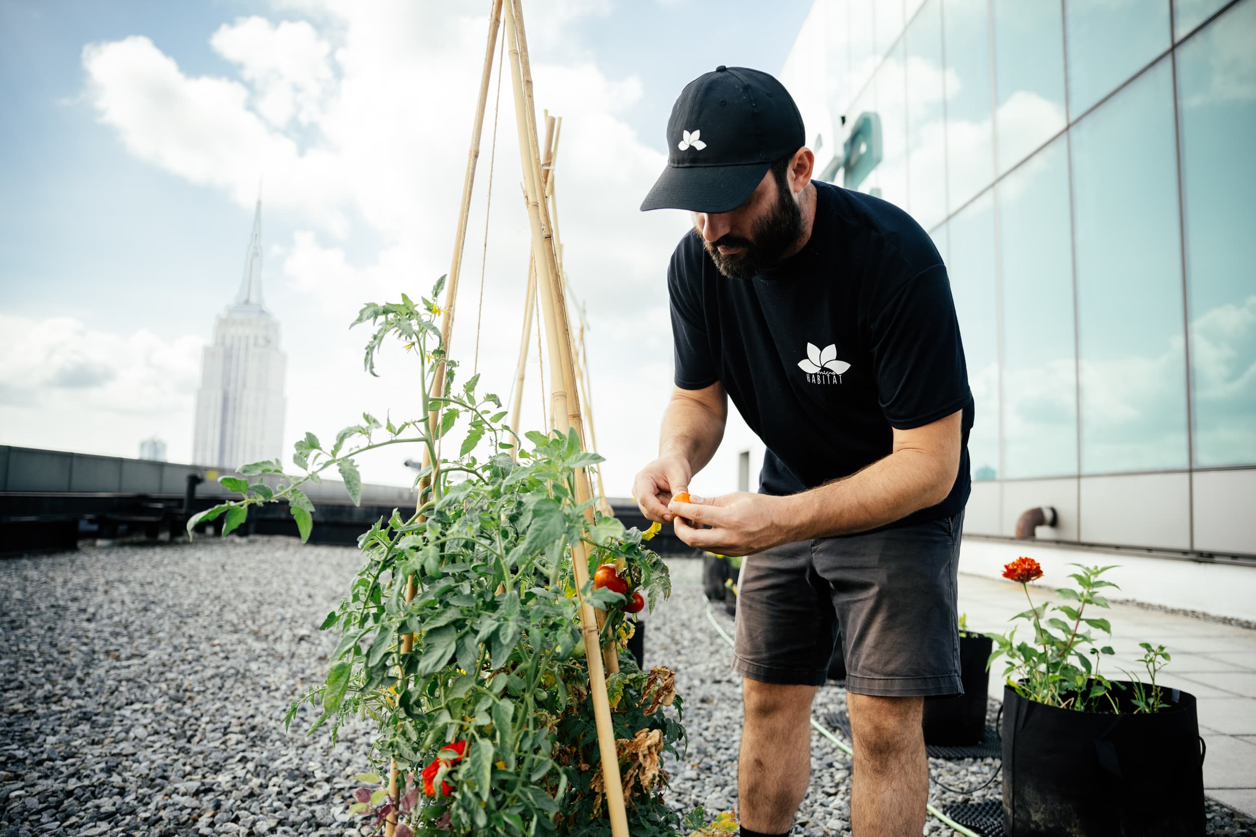 Transformez vos propriétés avec des jardins sur les toits