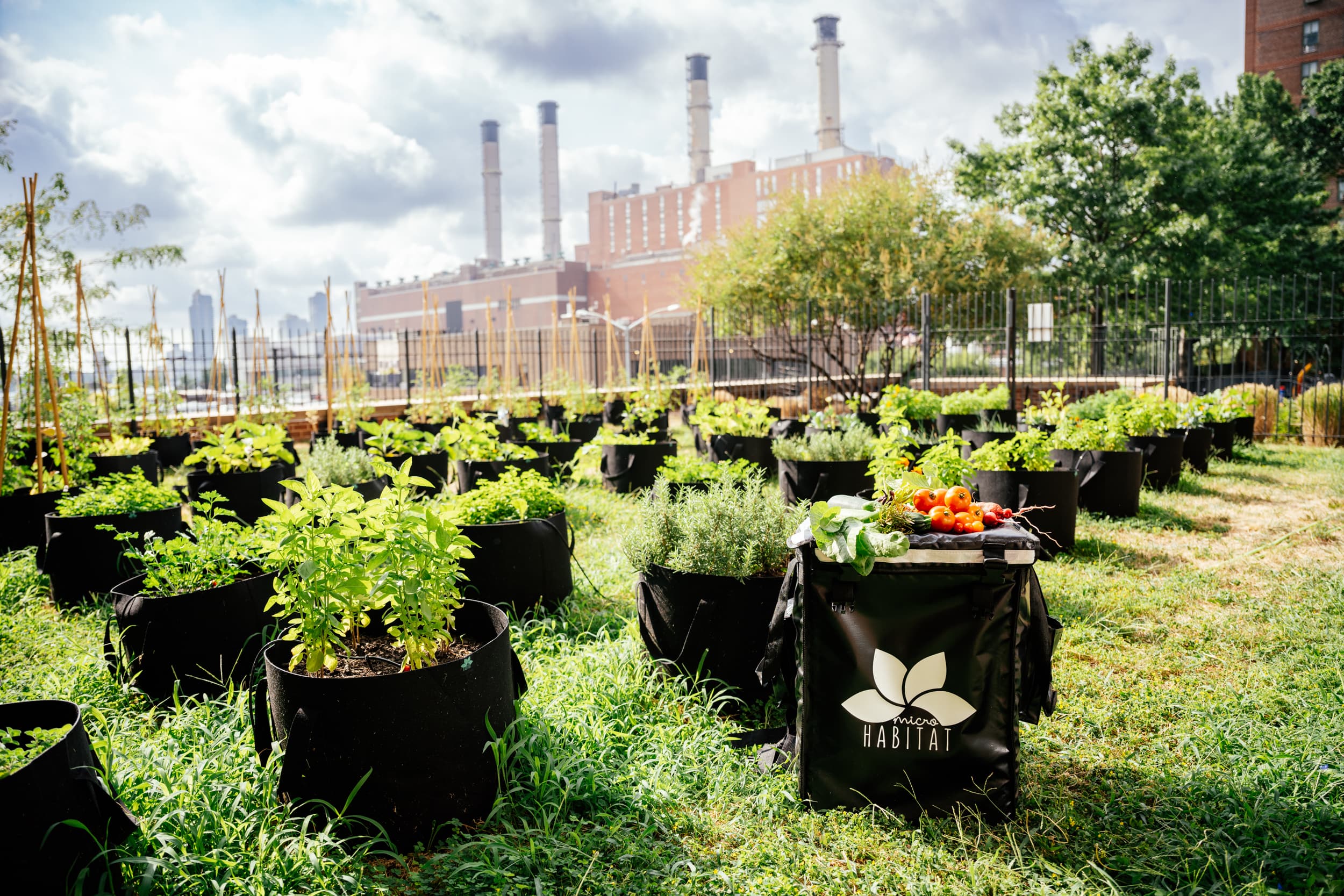 Sécuriser les certifications en matière de construction écologique