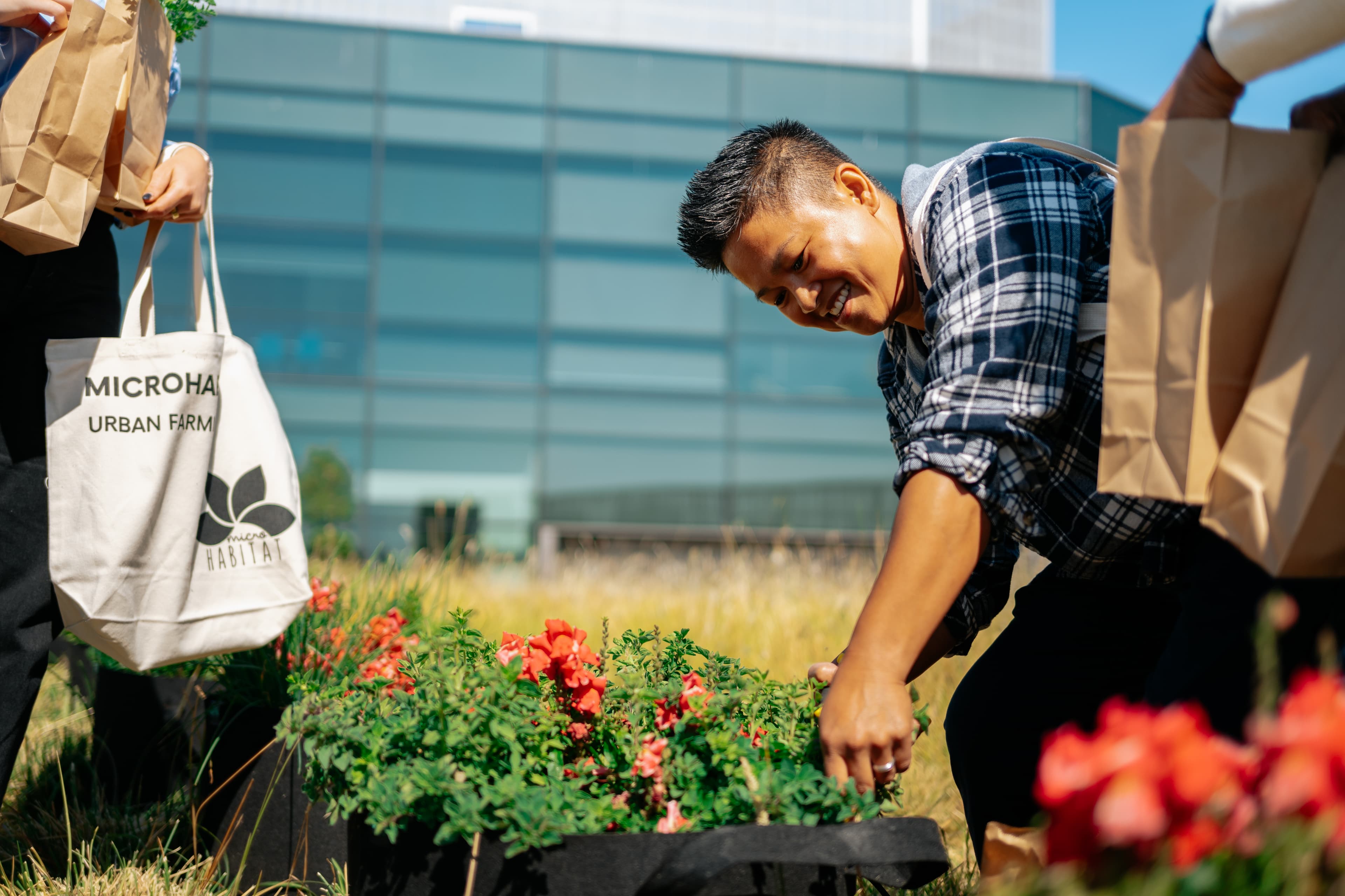 Upgrade Your Building with Rooftop Gardens