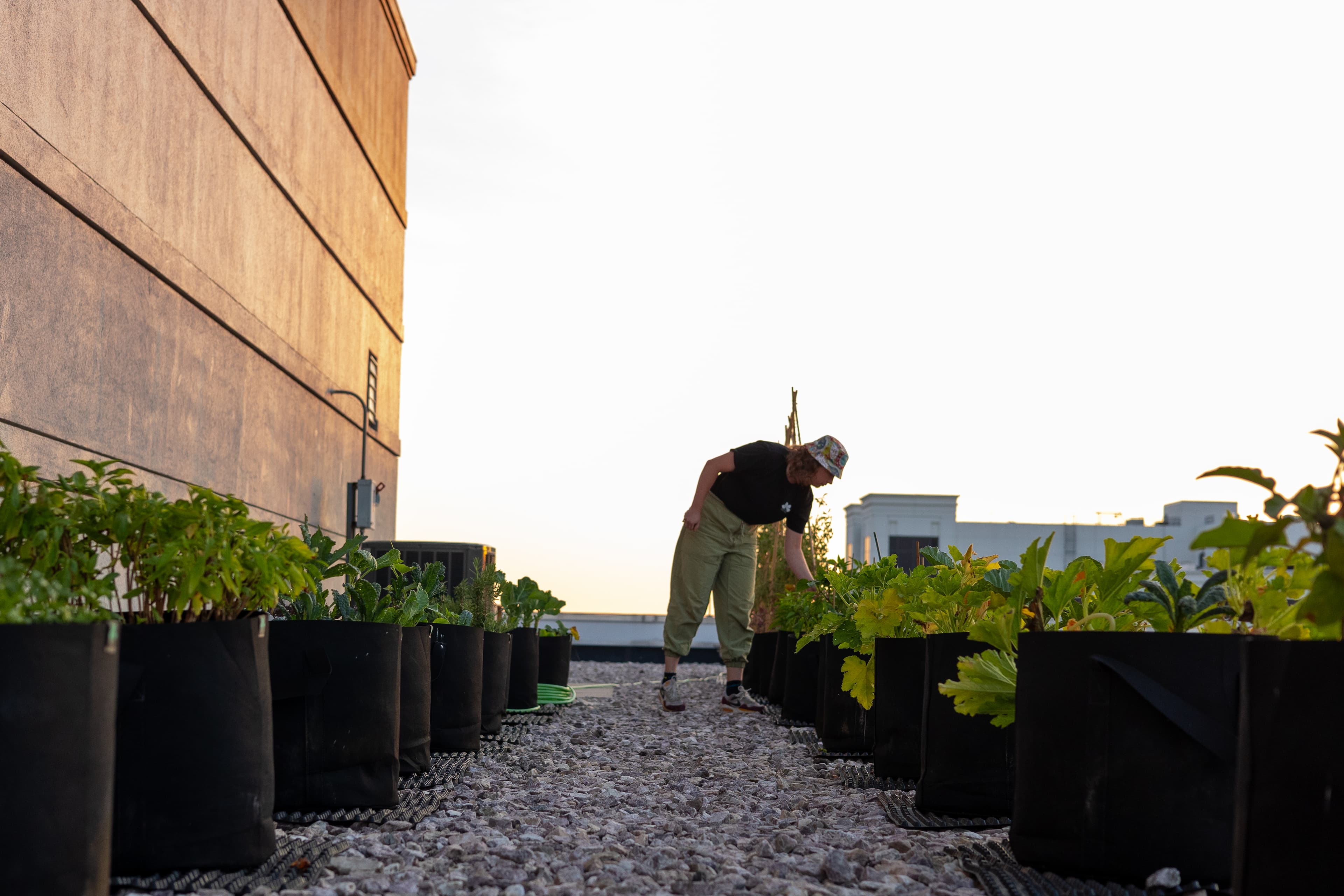 Améliorez votre propriété avec des jardins sur les toits