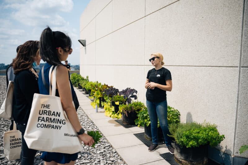 People discussing urban farming with tote bags