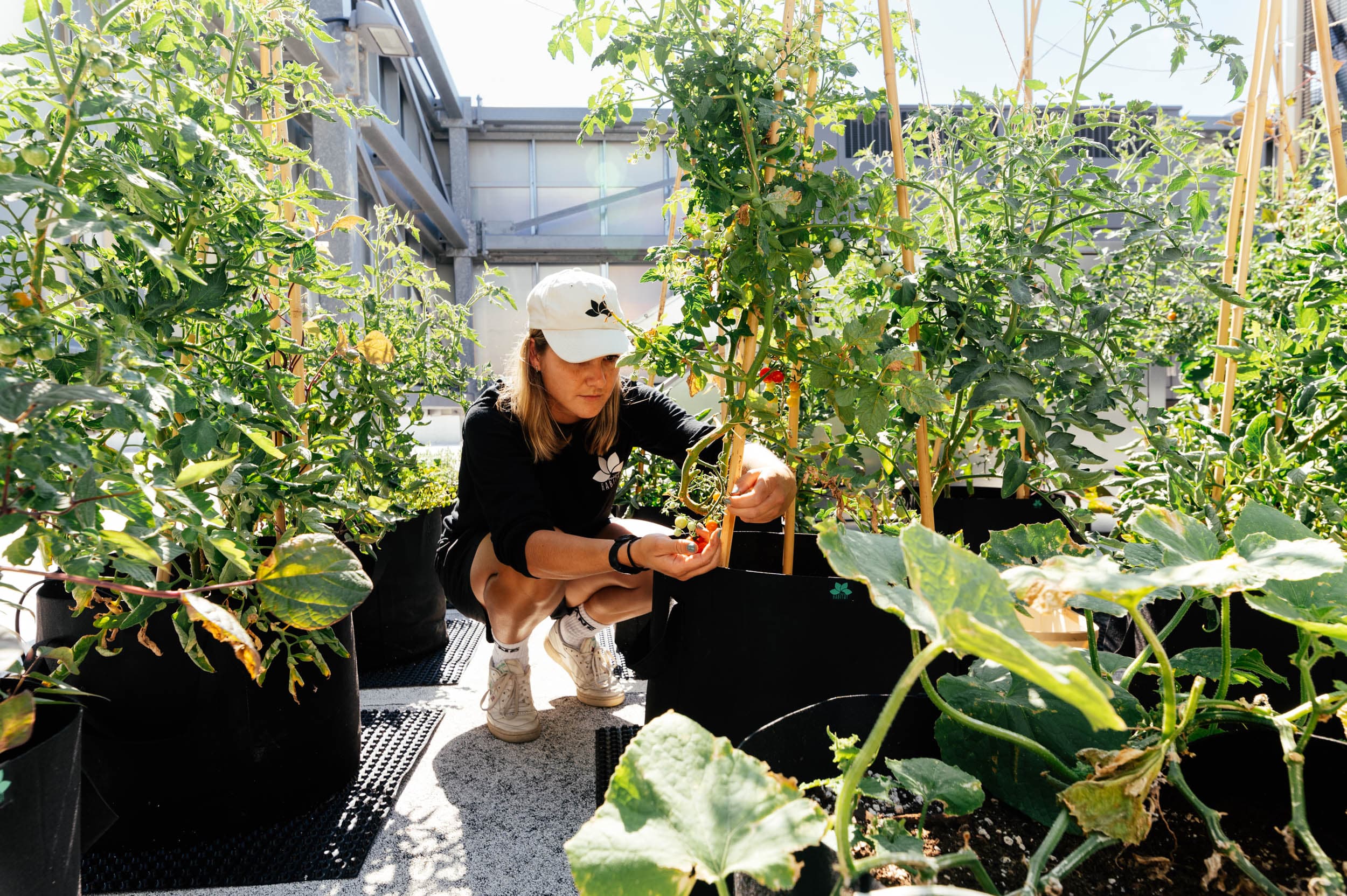 Des personnes discutent de l'agriculture urbaine avec des sacs fourre-tout