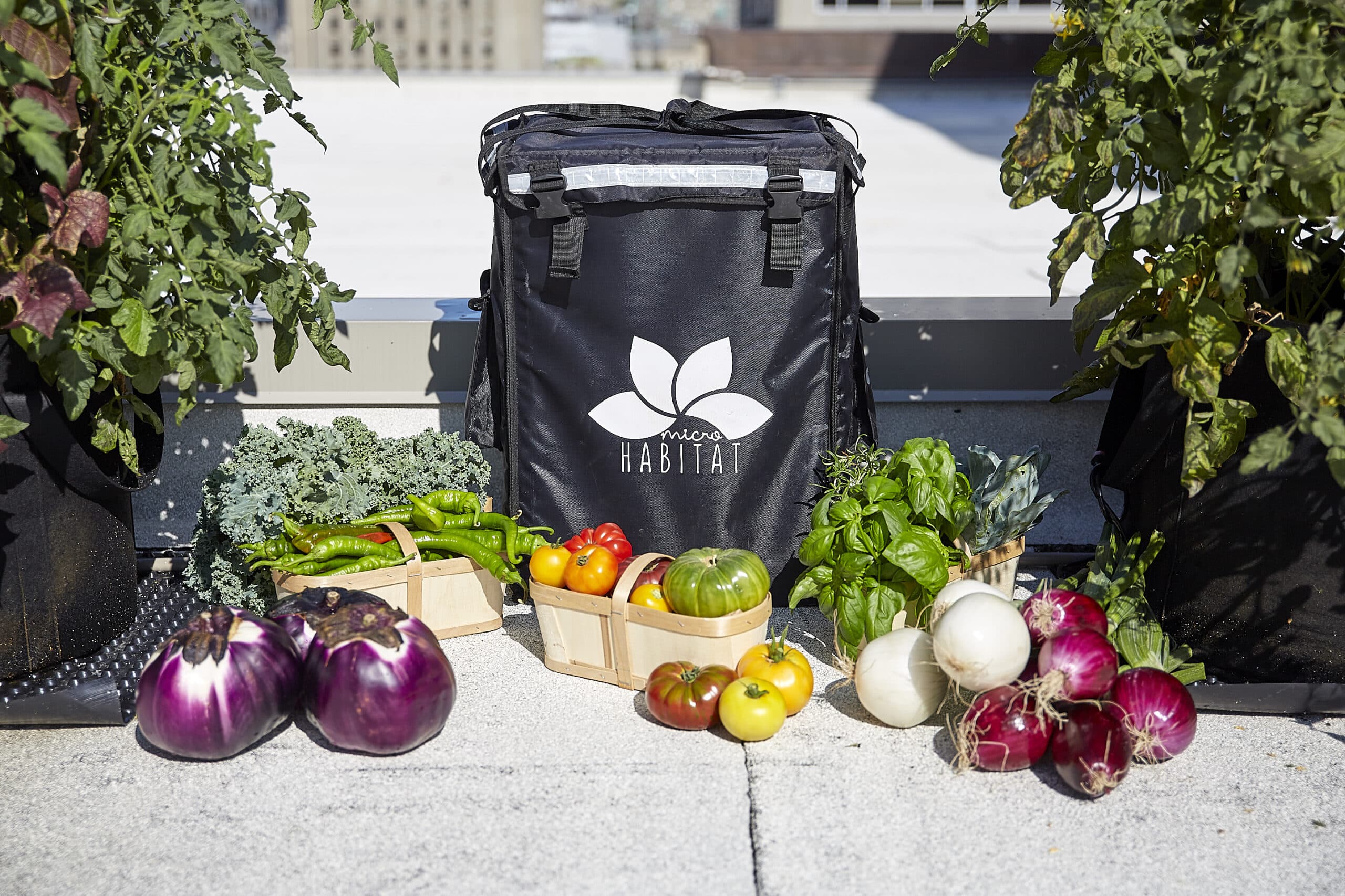 People discussing urban farming with tote bags