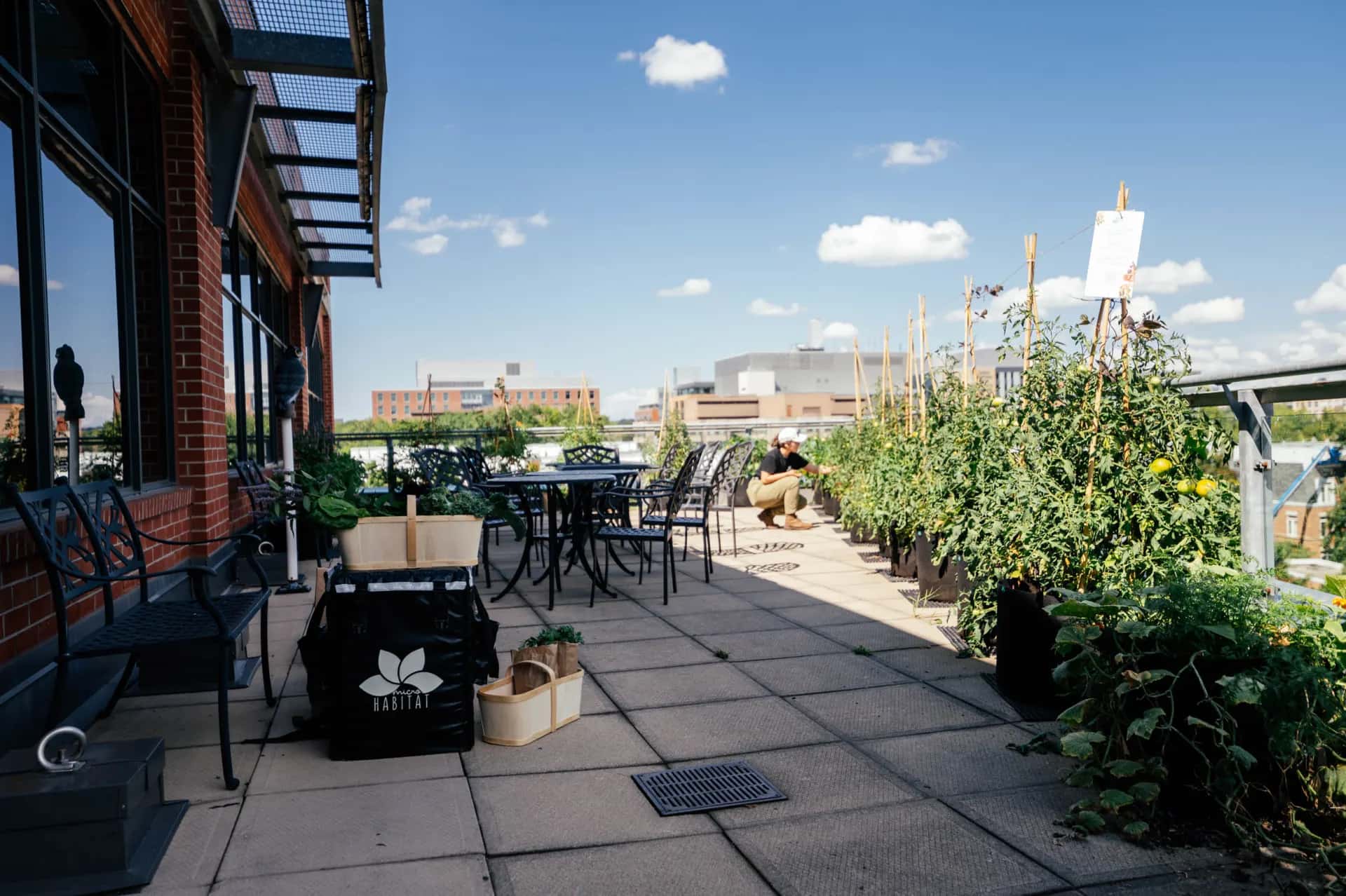A MicroHabitat rooftop terrace farm beside tenant seating, above the city