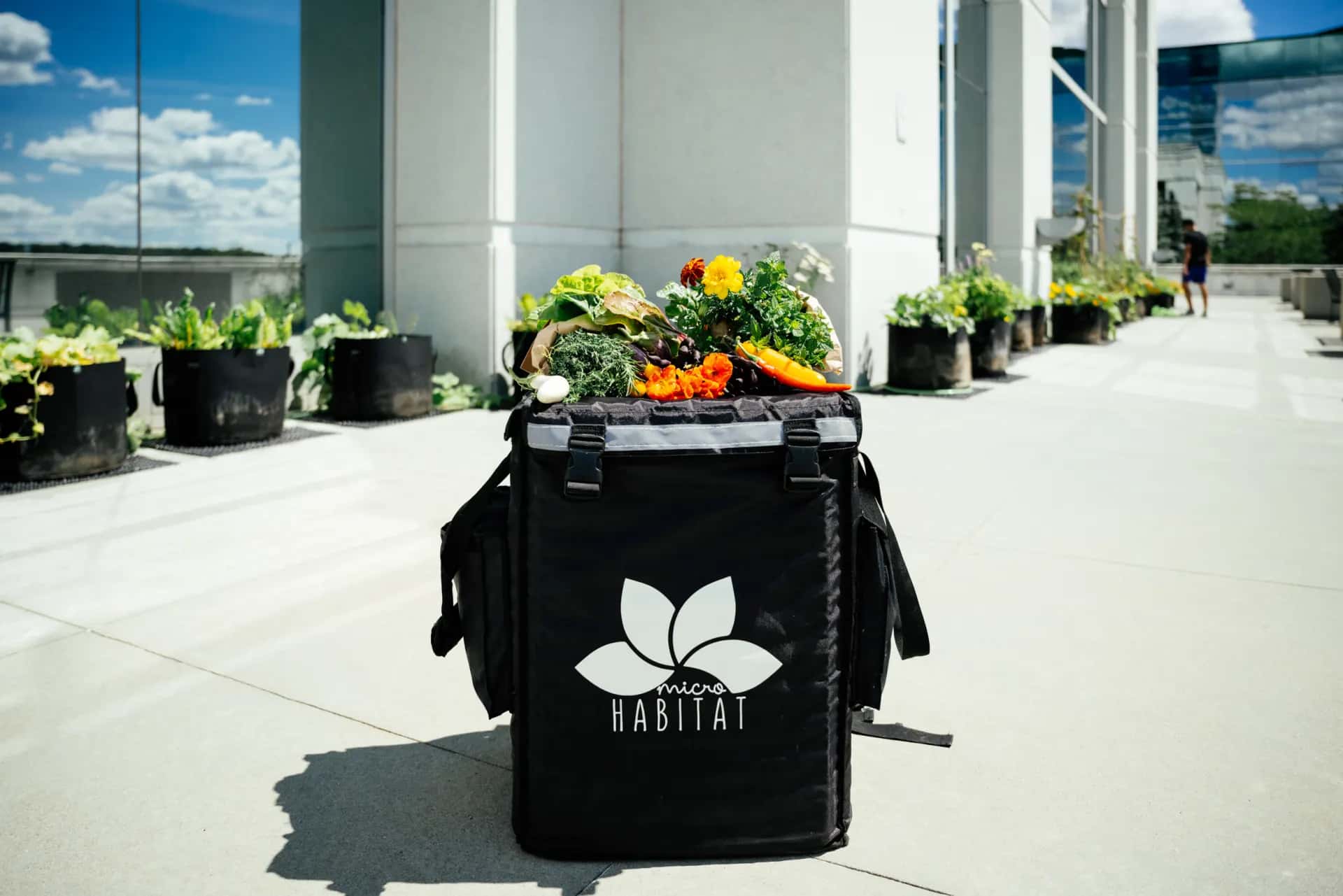 A MicroHabitat harvest bag overflowing with rooftop-grown vegetables